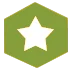 price-star1